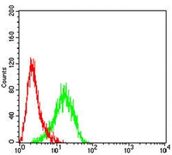 ERCC1 Mouse Monoclonal Antibody