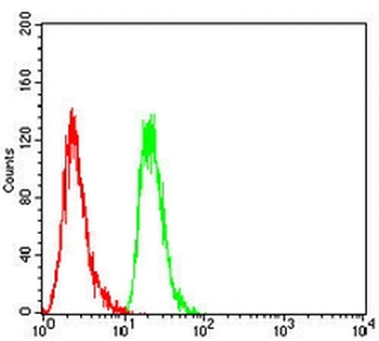 ERCC1 Mouse Monoclonal Antibody