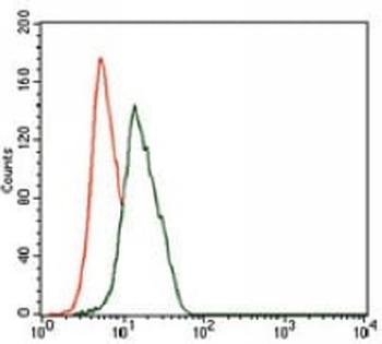 Gamma-enolase Mouse Monoclonal Antibody