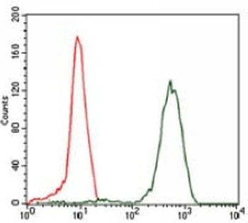 EIF4B Mouse Monoclonal Antibody