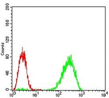 PKR Mouse Monoclonal Antibody