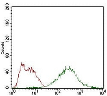 eIF2 alpha Mouse Monoclonal Antibody