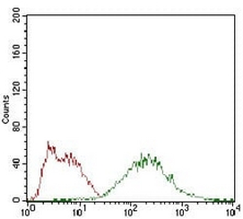 eIF2 alpha Mouse Monoclonal Antibody