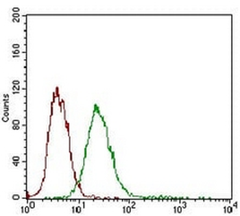Desmoglein 3 Mouse Monoclonal Antibody
