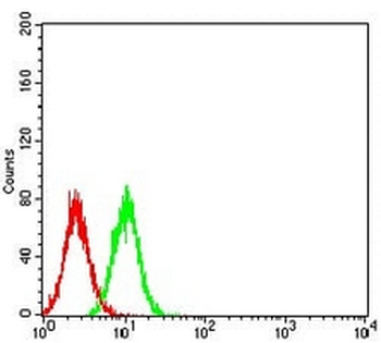 TdT Mouse Monoclonal Antibody