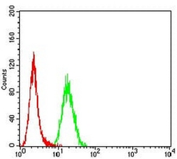 Dynamin 2 Mouse Monoclonal Antibody