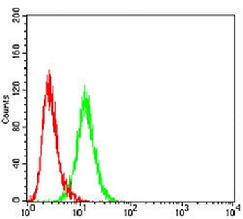 PSD95 Mouse Monoclonal Antibody