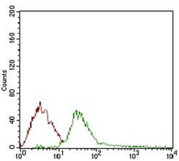 DIS3L2 Mouse Monoclonal Antibody