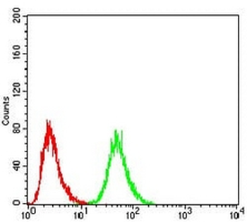 DDX3X Mouse Monoclonal Antibody