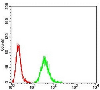 Gemin3 Mouse Monoclonal Antibody