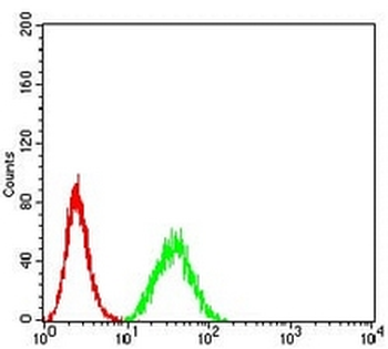 DDX1 Mouse Monoclonal Antibody