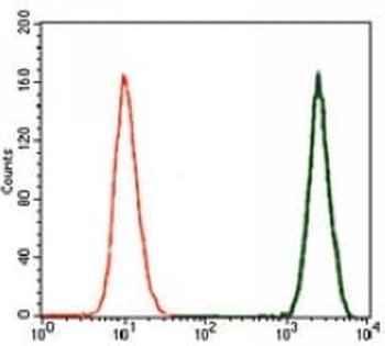 Doublecortin Mouse Monoclonal Antibody
