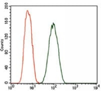 DCTN4 Mouse Monoclonal Antibody