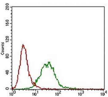 CTNNBL1 Mouse Monoclonal Antibody