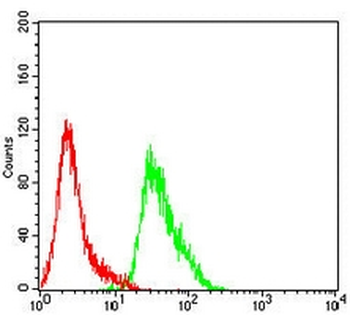 Beta-catenin Mouse Monoclonal Antibody