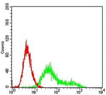 CK2 beta Mouse Monoclonal Antibody