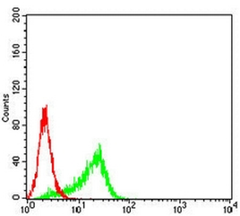 CPT2 Mouse Monoclonal Antibody