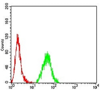 CNN3 Mouse Monoclonal Antibody