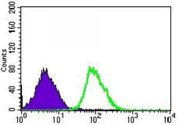 CLGN Mouse Monoclonal Antibody