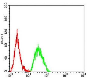 MDL-1 Mouse Monoclonal Antibody