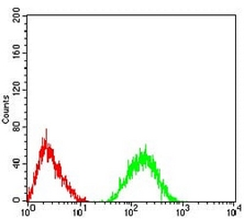 CHRNA5 Mouse Monoclonal Antibody