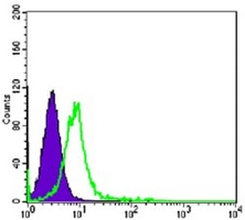 CHD3 Mouse Monoclonal Antibody