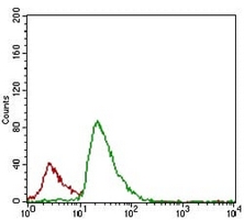 c-FLIP Mouse Monoclonal Antibody