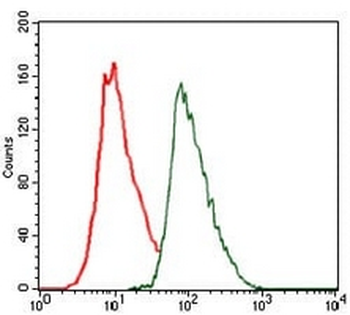 C/EBP alpha Mouse Monoclonal Antibody