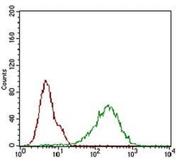 p16 INK4a Mouse Monoclonal Antibody