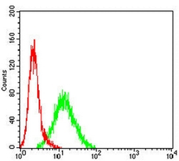 p57 Kip2 Mouse Monoclonal Antibody
