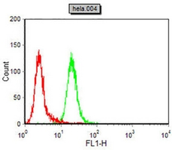 CDK4 Mouse Monoclonal Antibody