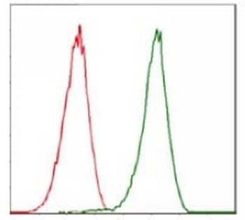 CDK2 Mouse Monoclonal Antibody