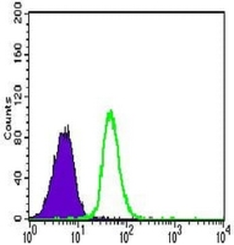 CD144 Mouse Monoclonal Antibody