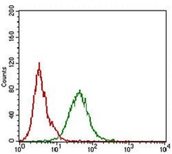 KSP Cadherin Mouse Monoclonal Antibody