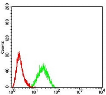 OB Cadherin Mouse Monoclonal Antibody