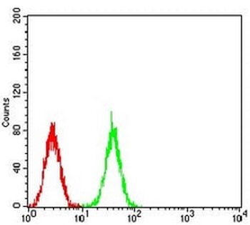 CDC37 Mouse Monoclonal Antibody