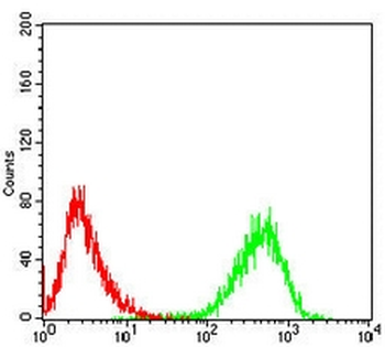 CD99 Mouse Monoclonal Antibody