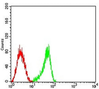 CD53 Mouse Monoclonal Antibody