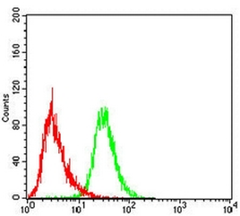 CD5 Mouse Monoclonal Antibody