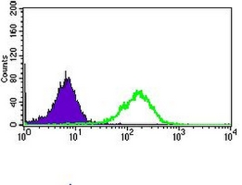 CD33 Mouse Monoclonal Antibody