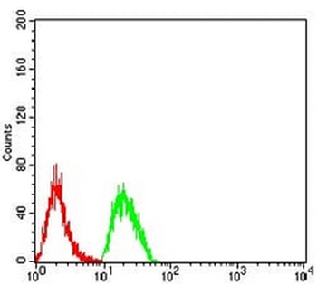 CD2 Mouse Monoclonal Antibody