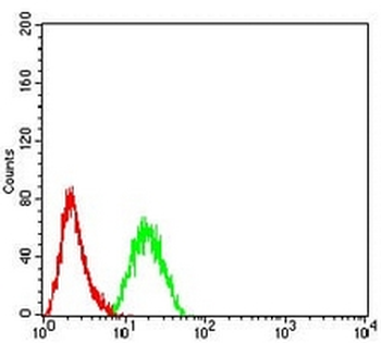 CD2 Mouse Monoclonal Antibody