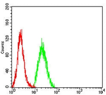 Cyclin D1 Mouse Monoclonal Antibody
