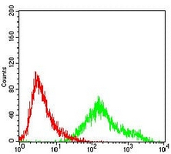 Cyclin A2 Mouse Monoclonal Antibody