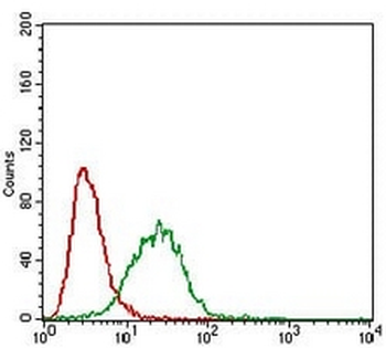 Caveolin 2 Mouse Monoclonal Antibody
