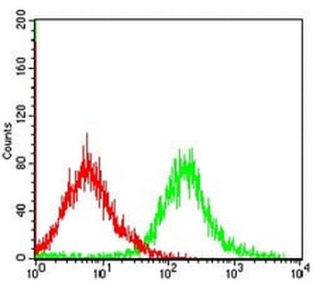 Caspase 7 Mouse Monoclonal Antibody