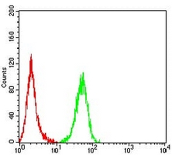 Calpain 1 Mouse Monoclonal Antibody