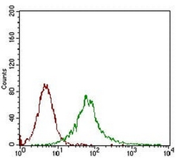 CaMK2 gamma Mouse Monoclonal Antibody