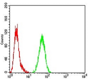 Calreticulin Mouse Monoclonal Antibody