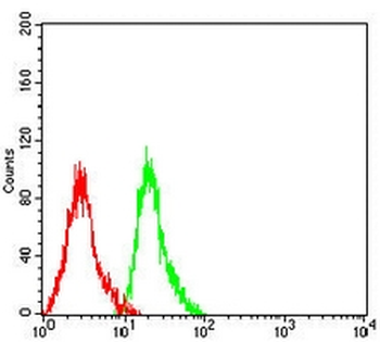 GPR77 Mouse Monoclonal Antibody